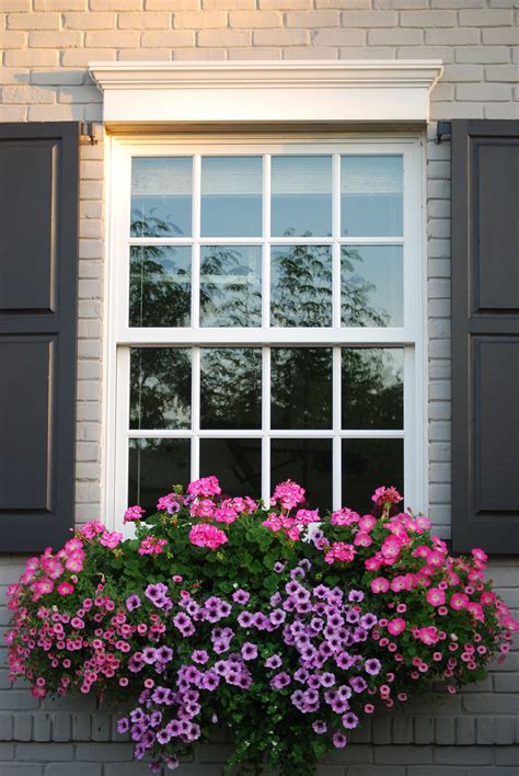 Flower Box Ideas For Windows at Cody Learmonth blog