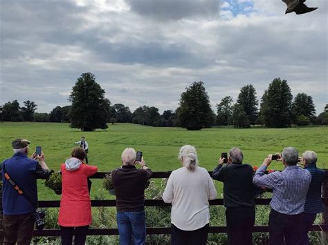 HAWKEYE SCHOOL OF FALCONRY (2026) All You Need to Know BEFORE You Go ...