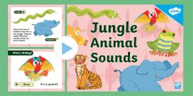 What Makes the Sound? PowerPoint