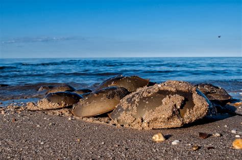 Image result for Alienware CD Drive