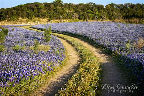 Muleshoe Bend Recreation Park, Spicewood, Texas