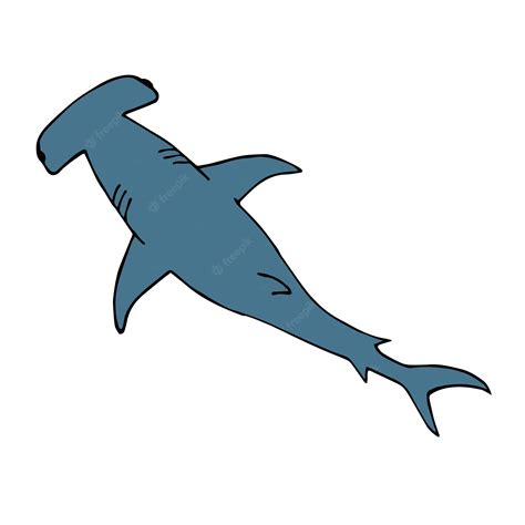hammerhead shark #3377917 | Clipart Library