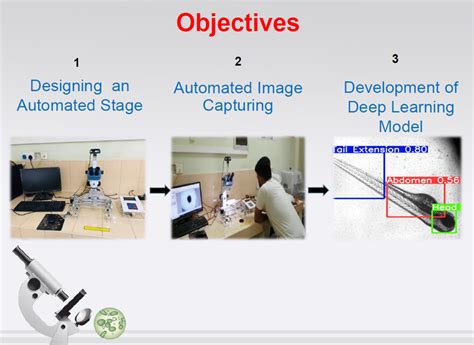 Automates Image Capturing For Zebrafish Embryo Toxicity Test | Freelancer
