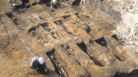 How the Black Death shaped how our bodies tackle today's diseases ...