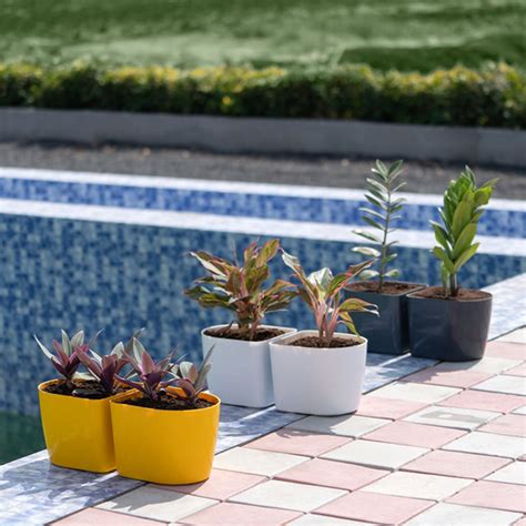 D Type – Gardencia Technology