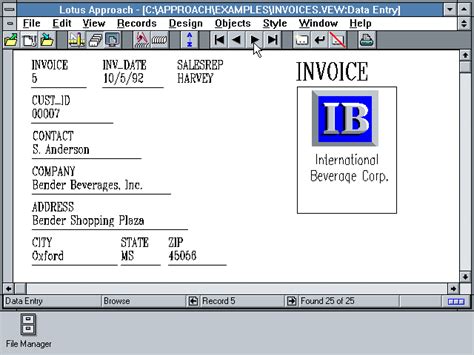 Image result for Lotus Approach Software