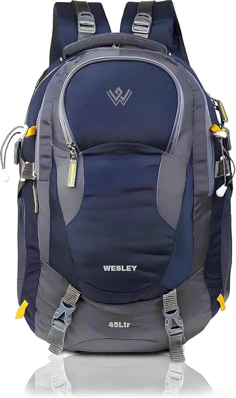 Amazon.in: Wesley - Bags & Backpacks: Bags, Wallets And Luggage