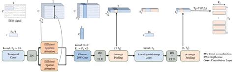 ECA-ATCNet: Efficient EEG Decoding with Spike Integrated Transformer ...