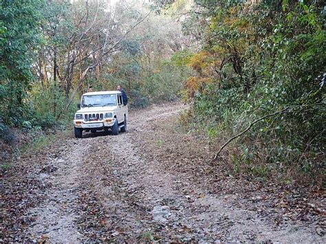 Visit Balpakram National Park In Meghalaya | LBB, Kolkata