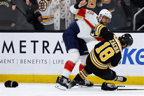 NHL fights from 2024-25 season