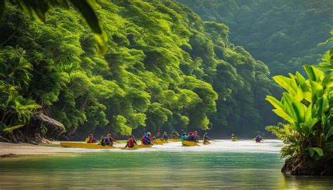 Image result for CWC Bicol