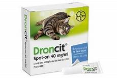 katzen wurmkur kaufen katzenbandwurm ansteckung symptome behandlung katzen wurmkur kaufen katzenbandwurm ansteckung symptome behandlung