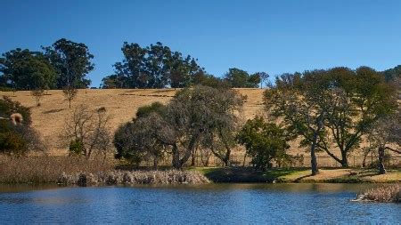 Addiction Support Near Oaklands