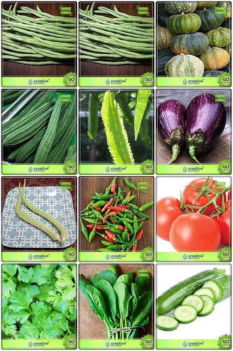 Creative Farmer Seeds Online India Combo Vegetable Seeds : Cowpea (Vj ...