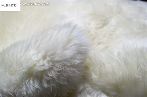 上市公司的羊毛是怎麼被薅禿的 | 夏小強世界 xiaxiaoqiang.net