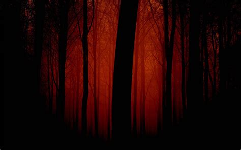 [200+] Dark Red Wallpapers | Wallpapers.com