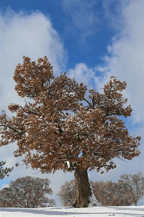 Ass+In+The+Air Photos, Download The BEST Free Ass+In+The+Air Stock ...