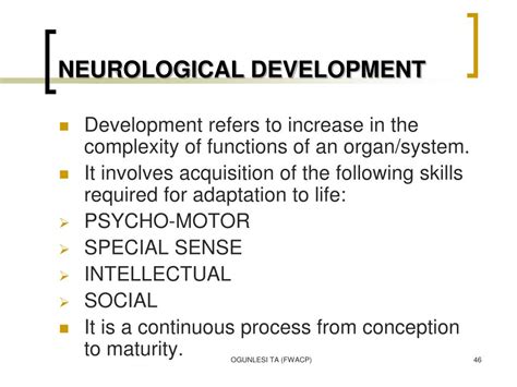 Image result for Neurological Development