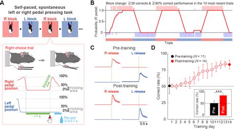 Image result for Performance-Based Task