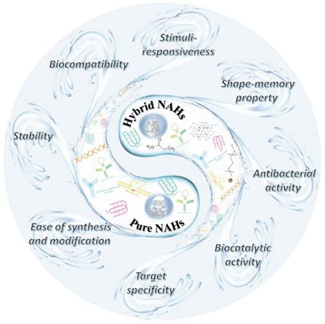 Smart Nucleic Acid Hydrogels with High Stimuli-Responsiveness in ...
