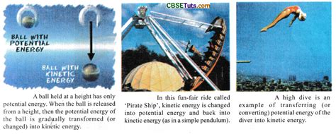 Energy Transformation Picture Examples 的图像结果