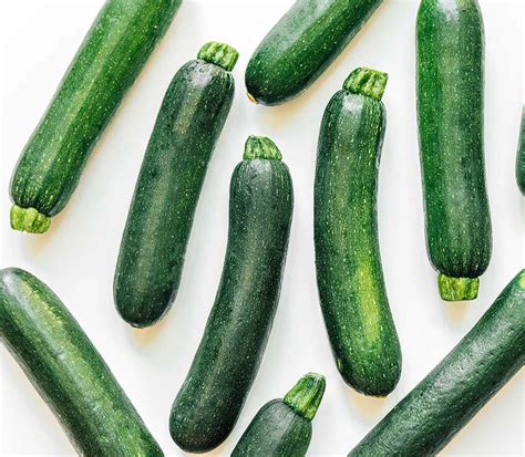 Can Dogs Eat Zucchini And Squash