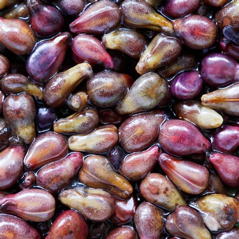 Grape Seed Extract for Heart and Health: Fighting Oxidative Stress and ...