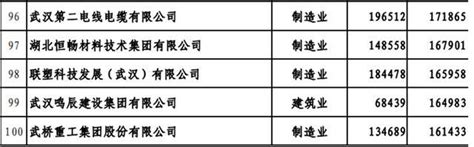 武汉发布“2021武汉民营企业100强 民营制造业企业50强”榜单_中国湖北_中国网