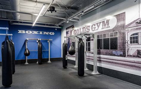 Gold's Gym Northridge California | Case Study | Escape Fitness