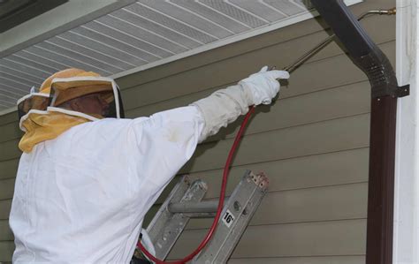 Career - Eagle Pest Eliminators