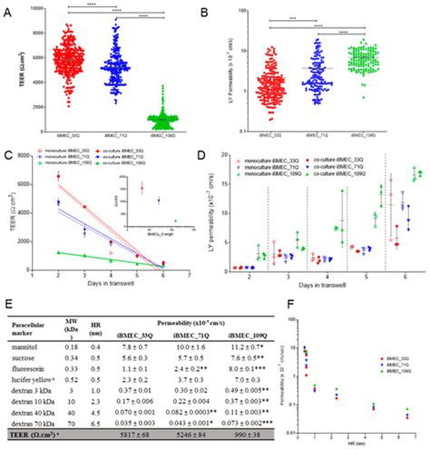 Modelling the Human Blood–Brain Barrier in Huntington Disease