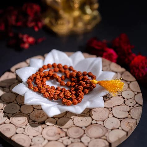 Original Rudraksha Mala (5 Mukhi Mala, 108 beads Mala) – Divya Hindu Mart