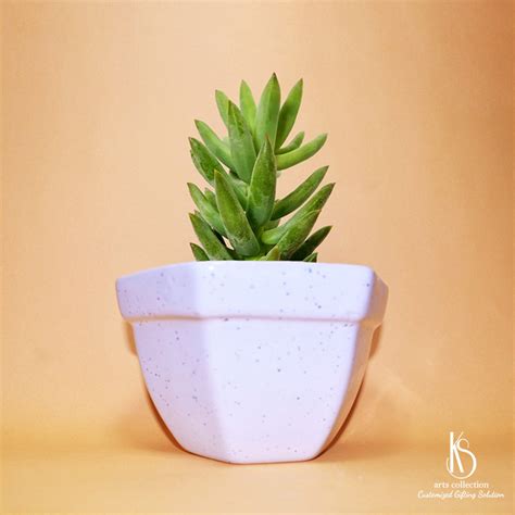 KS Hexa Bowl Ceramic Planter – KS ARTS COLLECTION