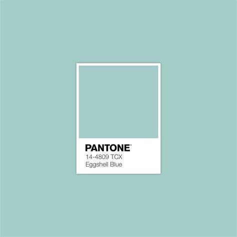 Marvelous Eggshell Blue Pantone Cool Gray 10u