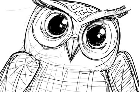 Corujas ilustradas no estilo de um livro de colorir perfeitas para ...