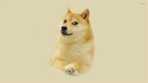 doge [4] wallpaper - meme wallpapers - #27437
