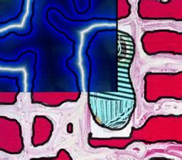 Image result for JavaScript in GeoGebra