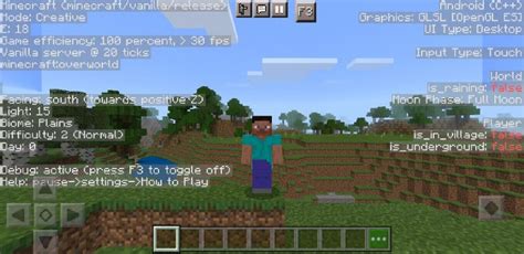 Image result for How to Get to Minecraft Debug Screen Windows PC