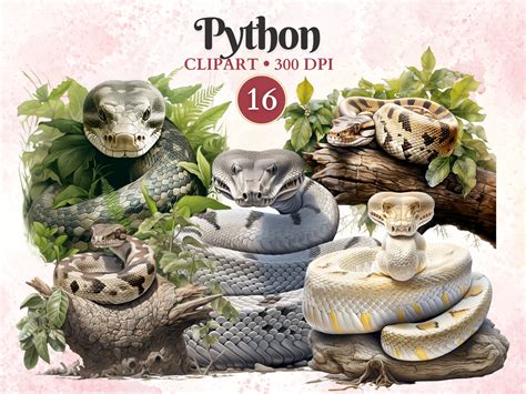 Image result for Python Snake Clip Art