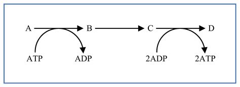 WinBEST-KIT: Biochemical Reaction Simulator for Analyzing Multi-Layered ...