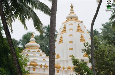 TrekPanda :Best Trekking and Backpacking company in India