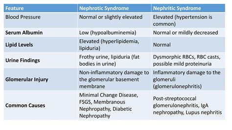 NEPHROTIC SYNDROME. a kidney disorder characterized by: Severe proteinuria (excess protein in ...