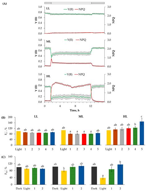 Red-Light Transmittance Changes in Variegated Pelargonium zonale ...
