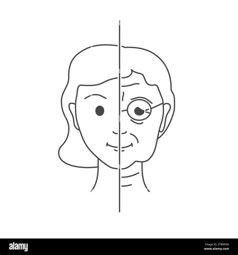 Image result for Aging Process Animation