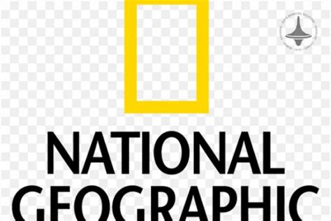 National Geographic TV branding vs brand strategy-National Geographic ...