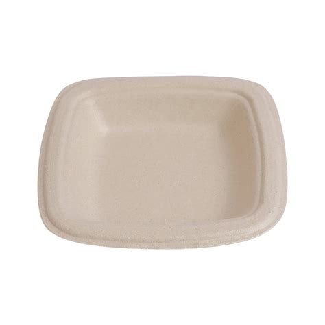Eco-Friendly Mini Plate Compostable Sugarcane Bagasse Tableware – Ecoware