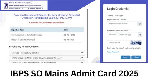 IBPS SO Mains Admit Card 2025: आईबीपीएस एसओ मेन्स एडमिट कार्ड ibps.in ...
