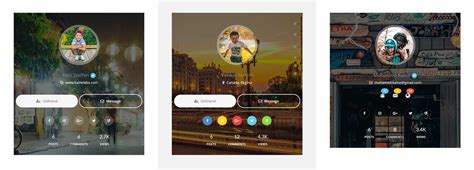 Image result for Youzer Tutorial