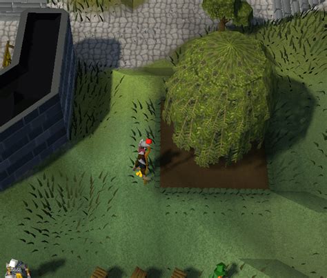 Waiting for a Willow Branch : r/osrs