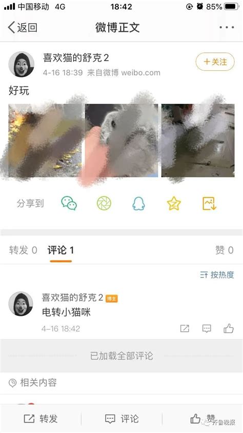 猫咖店曝光男子半年前虐猫视频 虐猫男子回应_手机新浪网